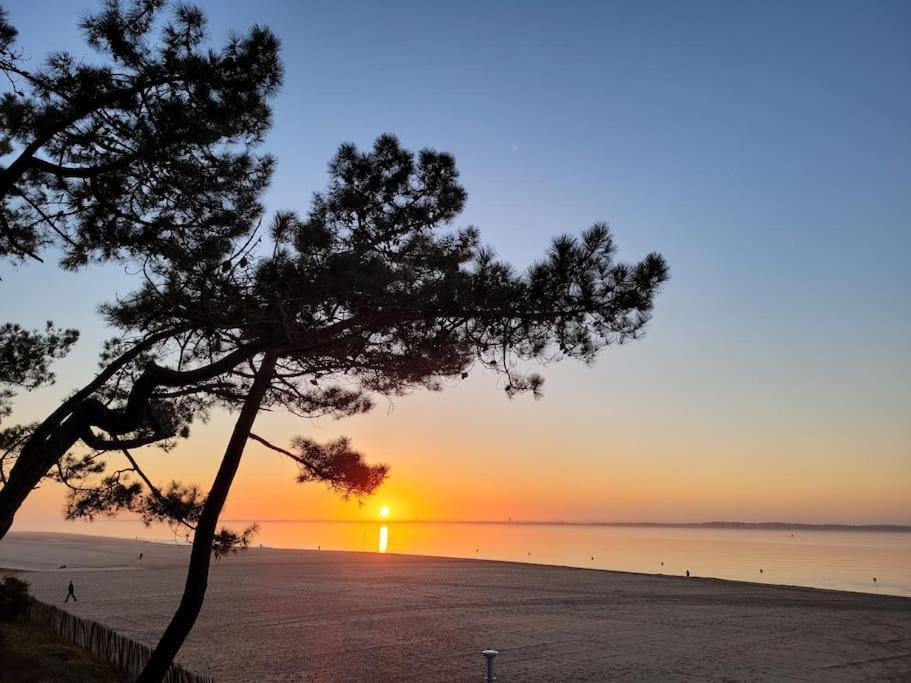 Maison Centre-Ville De La Teste Au Calme Bagian luar foto